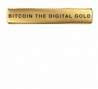 Bitcoin The Digital Gold book kindle